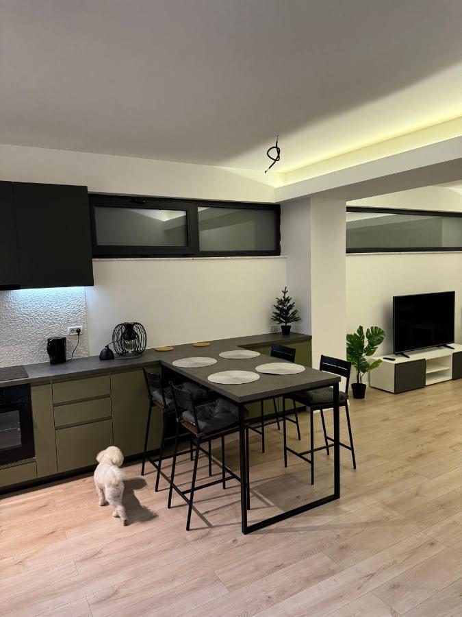Warm Hotel Apartment ブカレスト エクステリア 写真